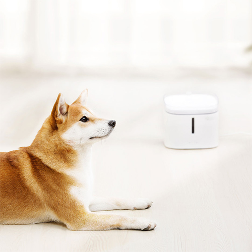 Xiaomi Kitten&Puppy Water Dispenser White